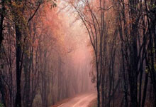 28圈娱乐官网：最新欧战积分榜：英超坐稳榜首 西甲意甲争额外欧冠席位.