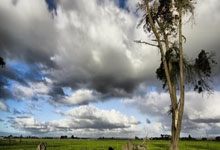 28圈娱乐官网：创新体育赛事场景 2025年云南将举行201项“三进”赛事活动3-31 10：08.