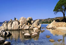 意媒：尤文有意佛罗伦萨后卫科穆佐，对方要价4000万欧.